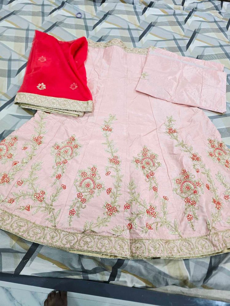 Embroidered Lehenga Choli Set